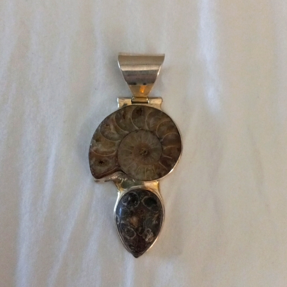 Fossilized Shell Pendent - image 1